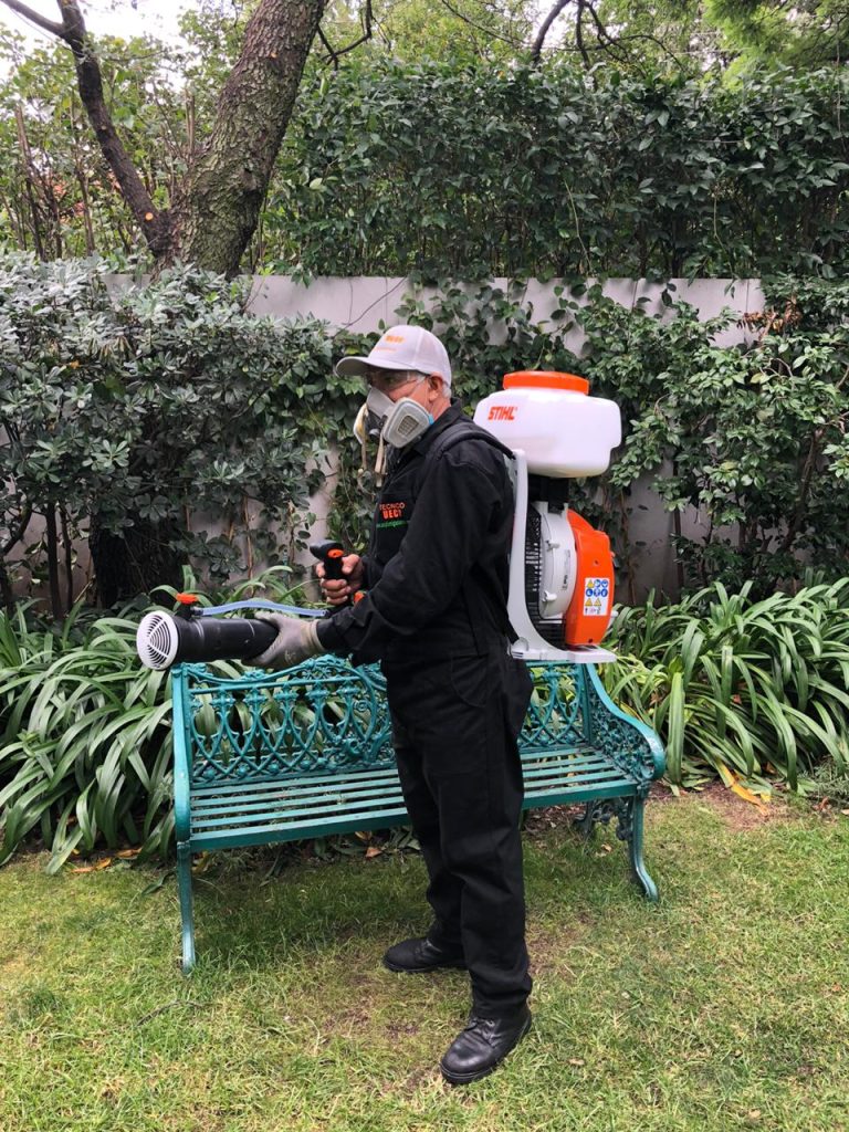 fumigaciones uecp 1