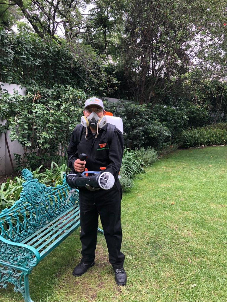 fumigaciones uecp 2